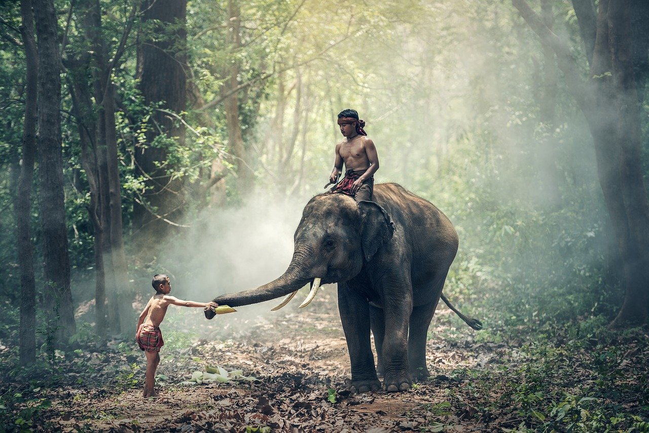 l’Inde comme destination de voyage